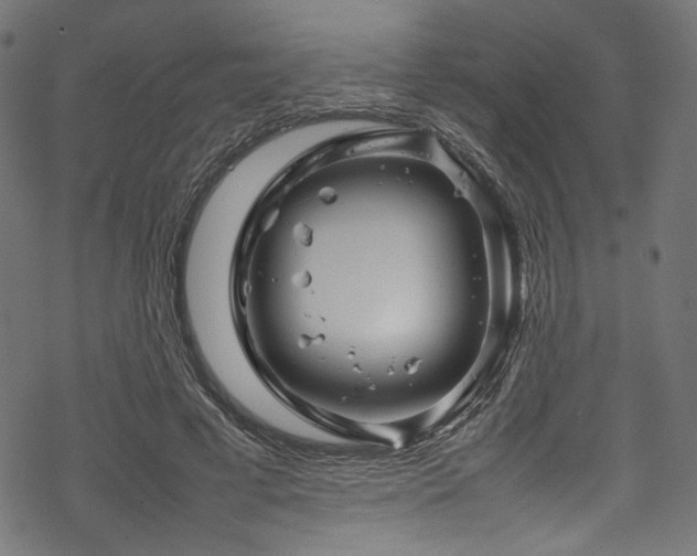 X0000070190593200605261200