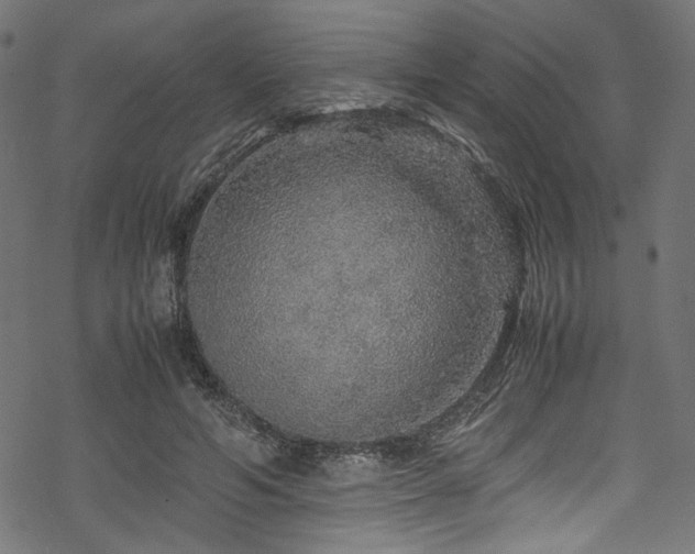 X0000070190594200605261159