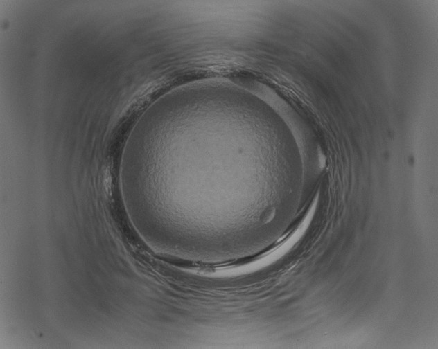 X0000070190595200605261159