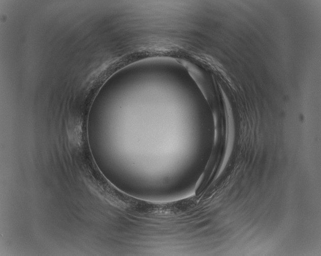 X0000070190596200605261159