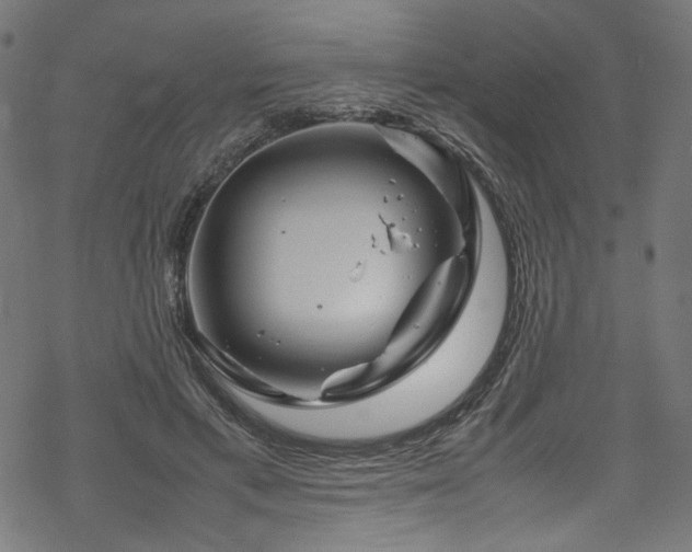 X0000070190597200605261159