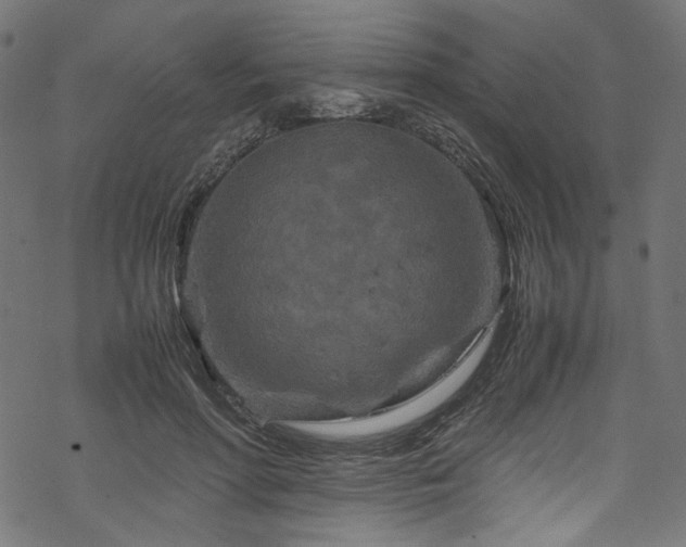 X0000070190598200605261159