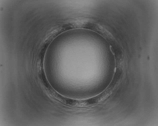 X0000070190599200605261159