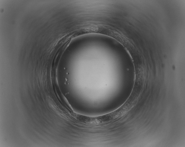 X0000070190600200605261159