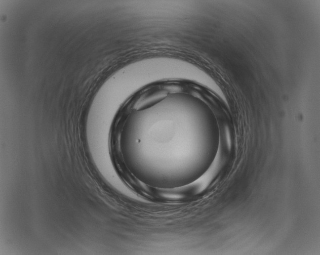 X0000070190601200605261159