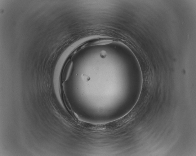 X0000070190602200605261159