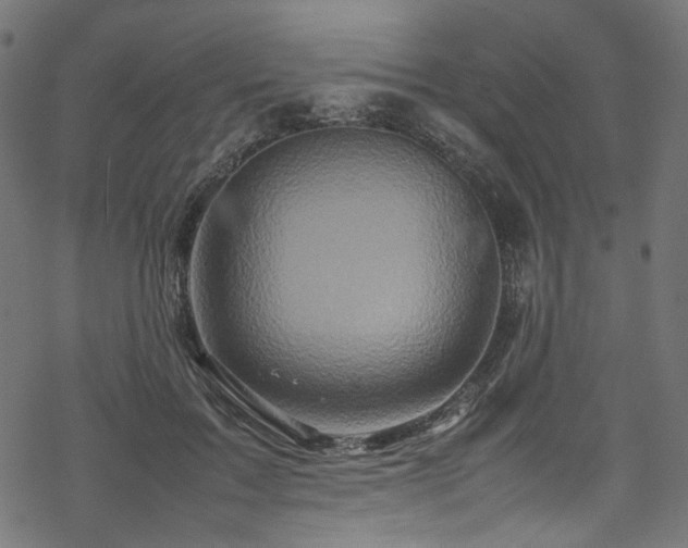 X0000070190603200605261159