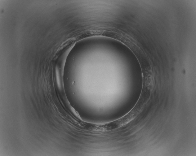 X0000070190604200605261159