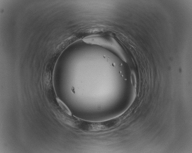 X0000070190605200605261159