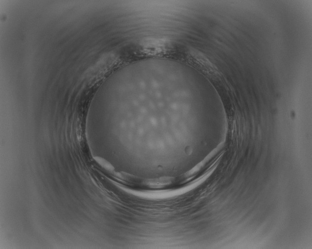 X0000070190606200605261159