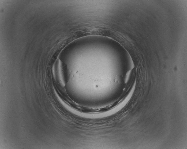 X0000070190607200605261159