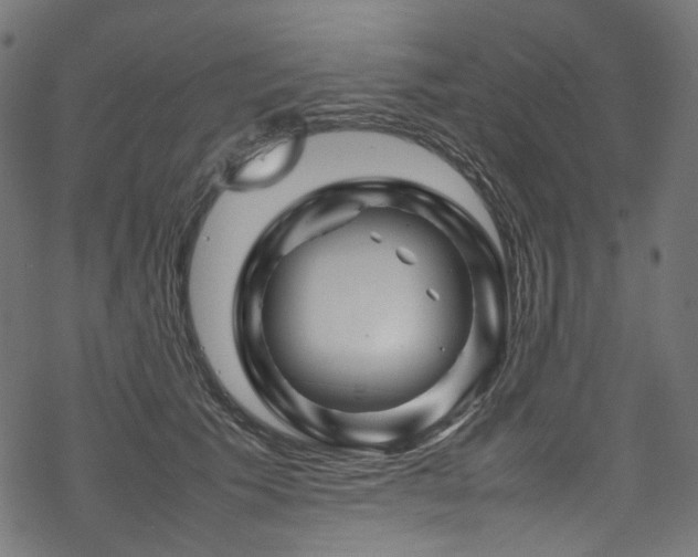 X0000070190609200605261159