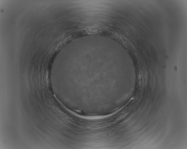 X0000070190610200605261159