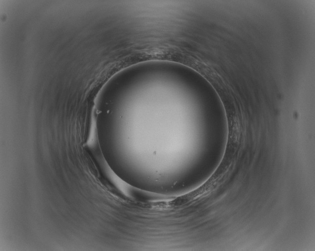 X0000070190612200605261159