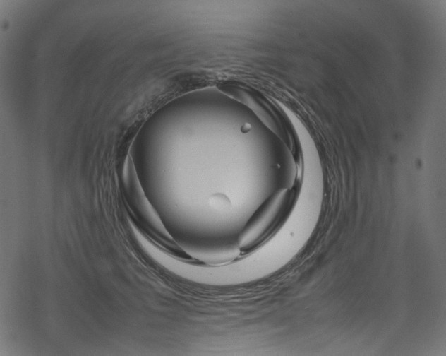 X0000070190613200605261159