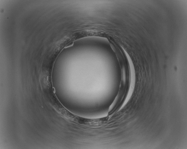 X0000070190615200605261159