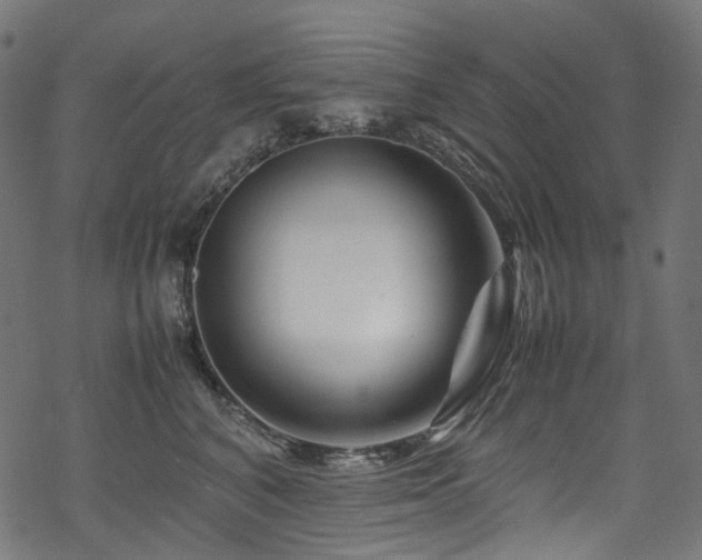 X0000070190616200605261159