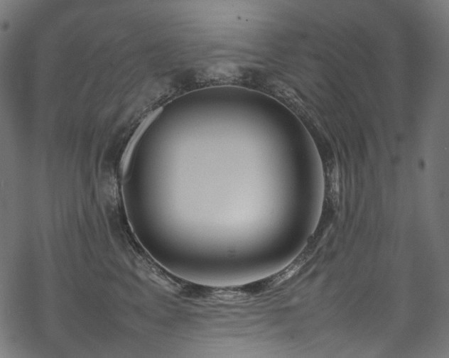 X0000070190617200605261159