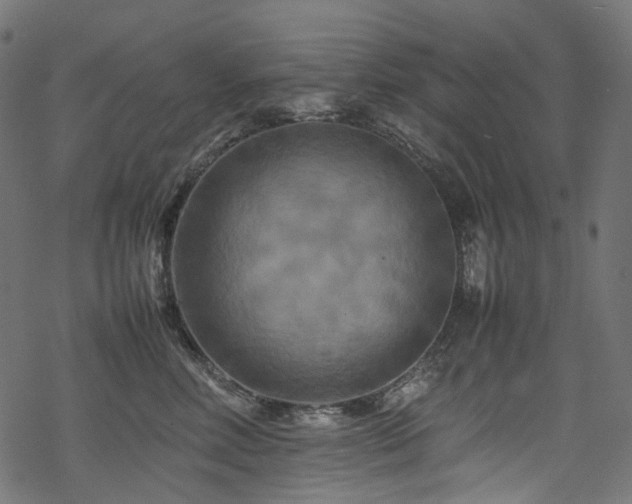 X0000070190618200605261159