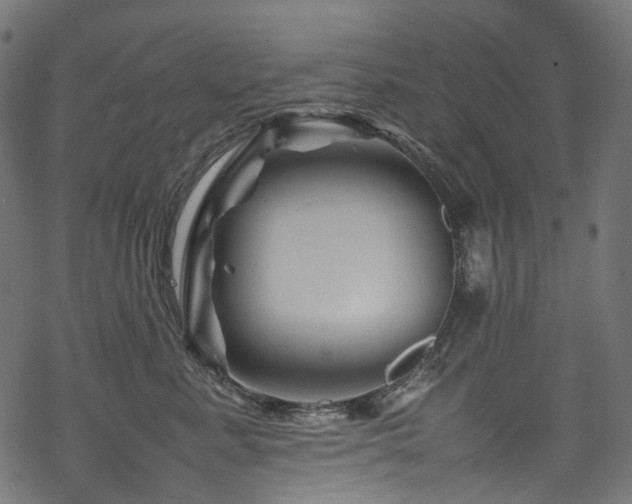 X0000070190619200605261159