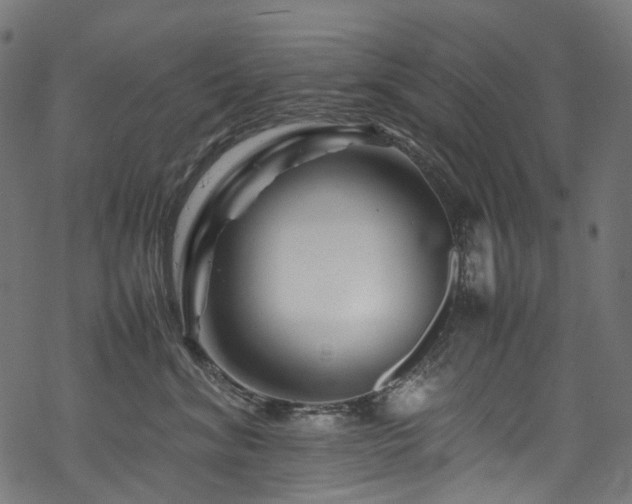 X0000070190620200605261159