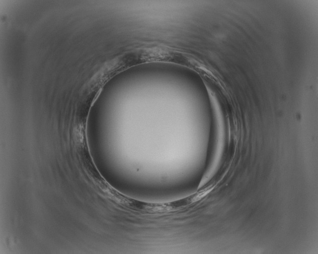 X0000070190621200605261159