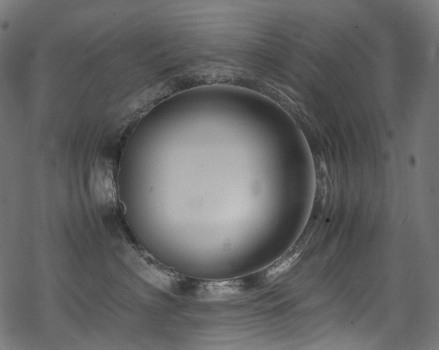 X0000070190622200605261159