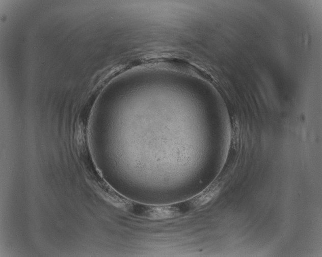 X0000070190623200605261159