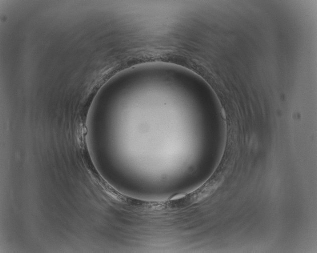 X0000070190624200605261159