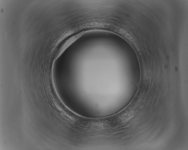 X0000070190625200605261158