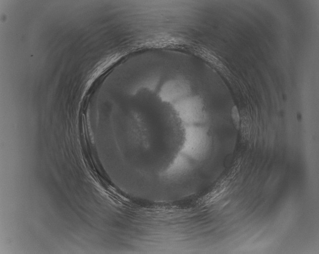 X0000070190626200605261158