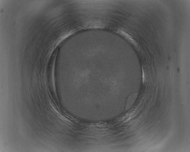 X0000070190627200605261158