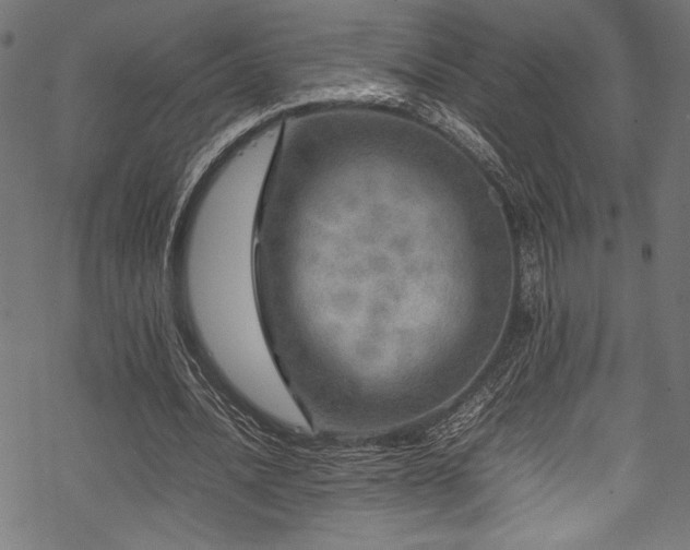 X0000070190628200605261158