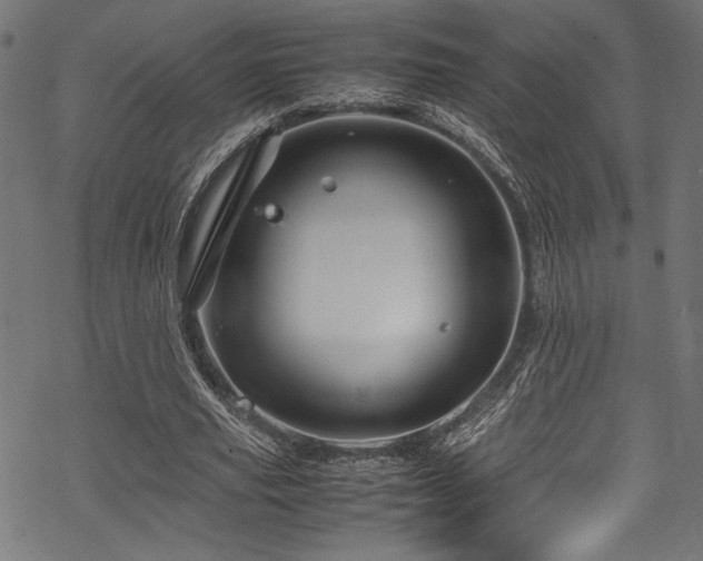 X0000070190629200605261158