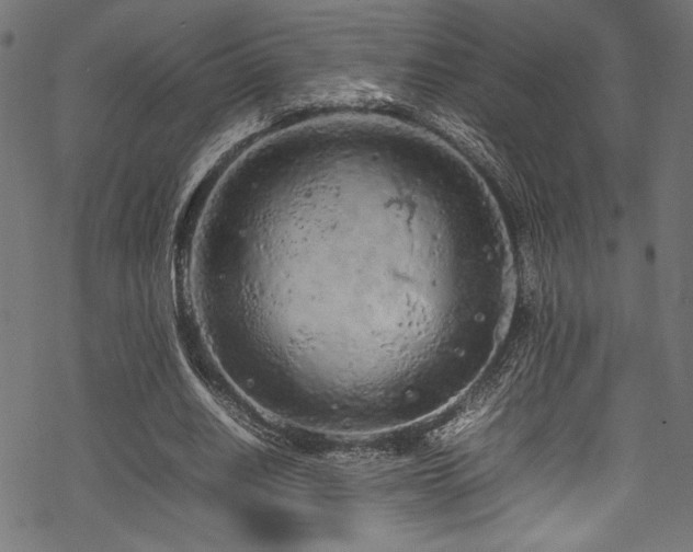 X0000070190630200605261158