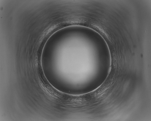 X0000070190631200605261158