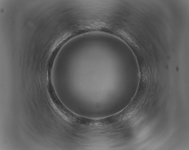 X0000070190634200605261158