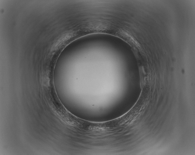 X0000070190635200605261158