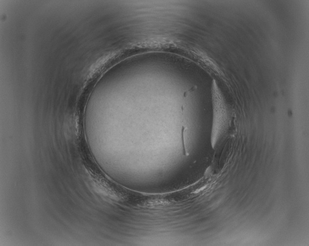 X0000070190636200605261158