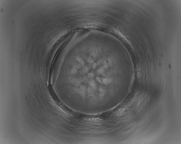 X0000070190637200605261158