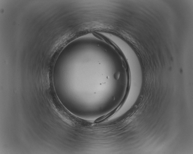 X0000070190638200605261158