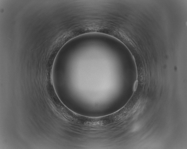 X0000070190639200605261158