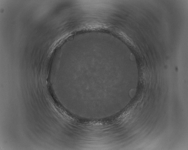 X0000070190640200605261158