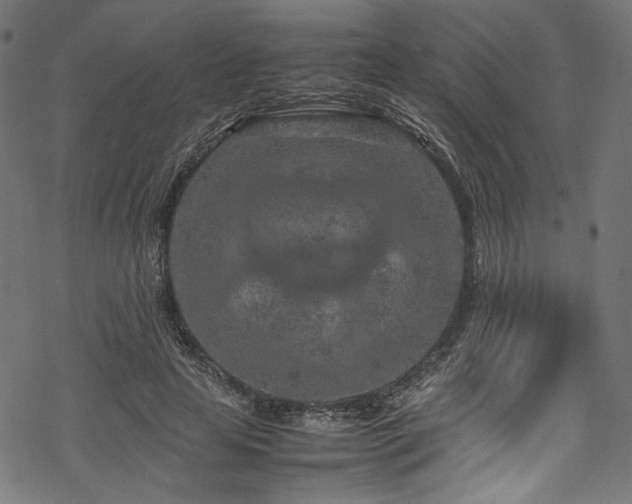 X0000070190641200605261158