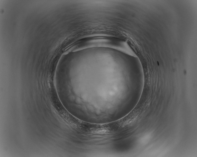 X0000070190643200605261159