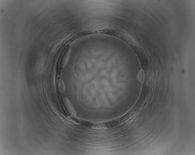 X0000070190644200605261159