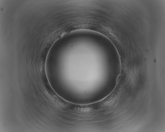 X0000070190645200605261159