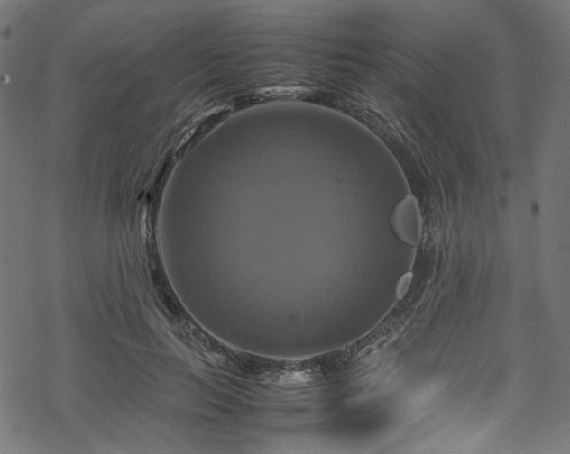 X0000070190647200605261159