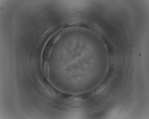 X0000070190648200605261159