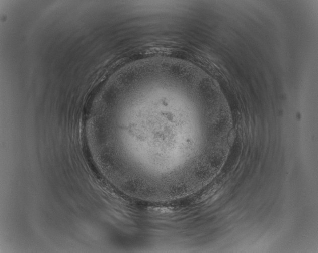 X0000070190649200605261159